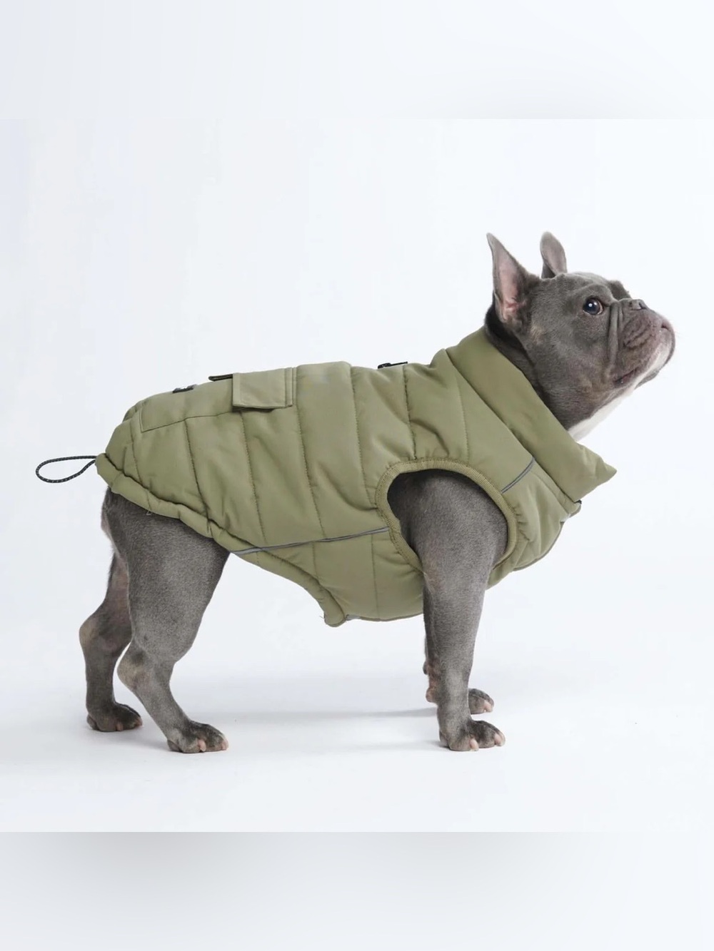 BRAND NEW ✨SPARK PAWS✨ WarmShield Water-Resistant Jackets XL